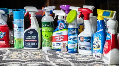 More than a dozen carpet stain cleaners displayed on a carpet.