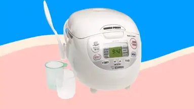 The Zojirushi rice cooker