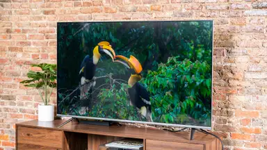 The 65-inch Amazon Fire TV Omni displaying 4K content in a living room setting