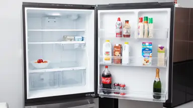 GE GDE25EYKFS Bottom-freezer Refrigerator open to show the spacious interior and door storage.