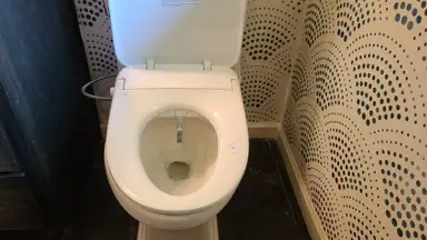 A toilet in a bathroom, with the Alpha Bidet UX Pearl installed on it.
