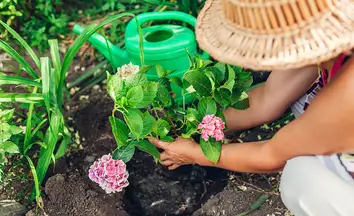 Person planting flowers in a straw hat with a green watering can in the background