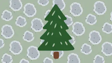 A Christmas tree with a mold background