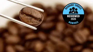 A close look at a coffee bean