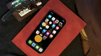Apple iPhone X