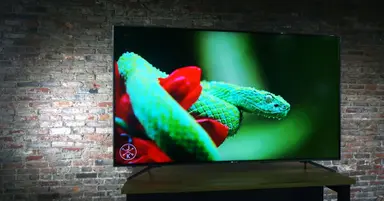 Hisense H9D Plus Series TV Review