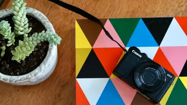 These are the best cameras for beginners.