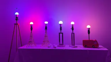 LED smart bulbs are lined up against a purple and pink wall.