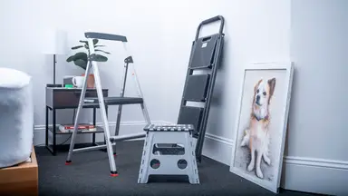 A grouping of three step stools stand in an office next to a portrait of a dog