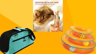Cat carrying bag, book on cat hair and an orange cat toy on a red and orange background.