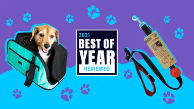 The SleepyPod Air pet carrier and Lead Mate dog leash on a graphic background for Reviewed's Best of Year