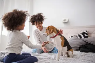 A child and mother sit on a while bed with a small dog
