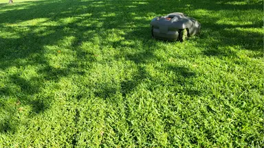 Husqvarna 450XH EPOS robot lawn mower on top of grassy lawn on sunny day.