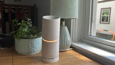 A white essential oil diffuser on a table with a lamp and succulent in front of window on sunny day.