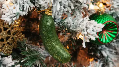 A close-up of a Christmas pickle ornament on a flocked Christmas tree.