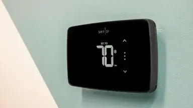 The Sensi Lite appears on a seafoam and gray background.