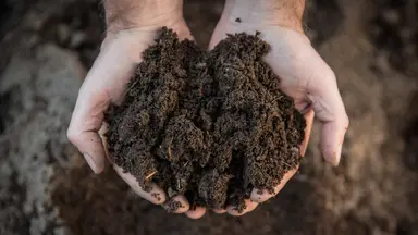 Two hands hold a handful of earthy brown compost