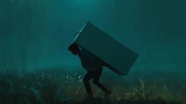A person sneaking through the night with a refrigerator on their back