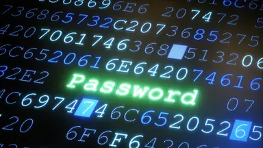The word password in green on a dark screen with code