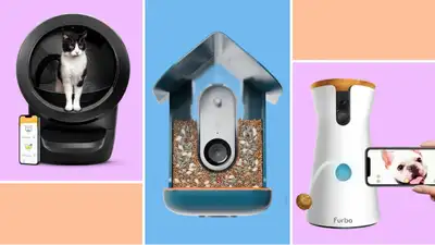 Smart tech: Pet products to make your life easier - Reviewed