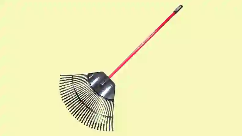 6 Best Rakes of 2026 - Reviewed