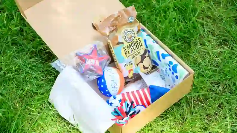 Review of BarkBox, PupBox, and RescueBox: Which dog subscription box is ...
