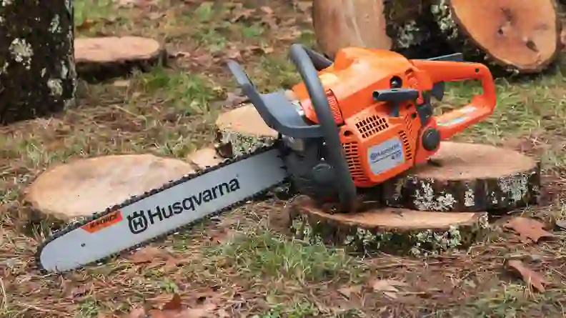 6 Best Chainsaws of 2026 - Reviewed