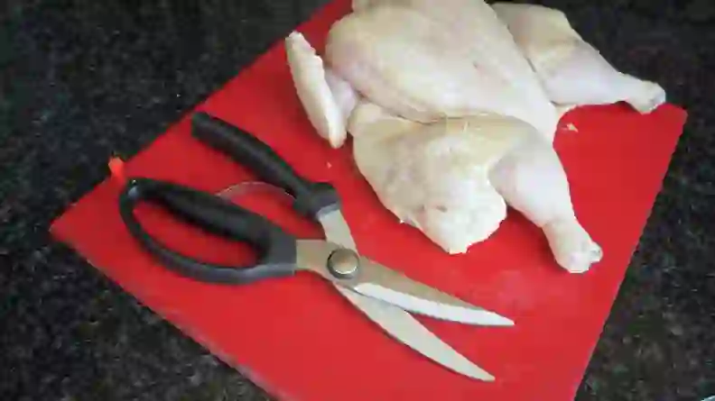 7 Best Poultry Shears of 2026 - Reviewed