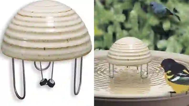 10 popular products that will attract wildlife to your backyard - Reviewed