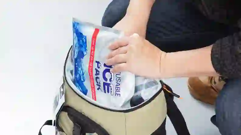 9 Best Backpack Coolers of 2026 - Reviewed