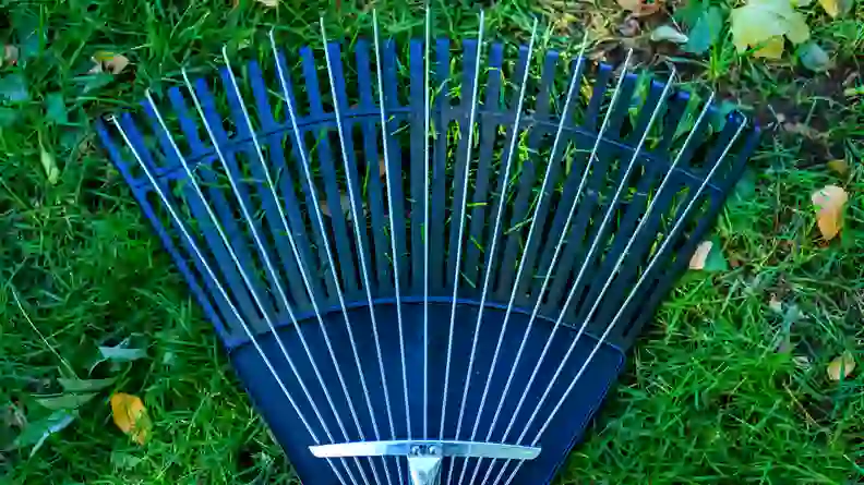 6 Best Rakes of 2026 - Reviewed
