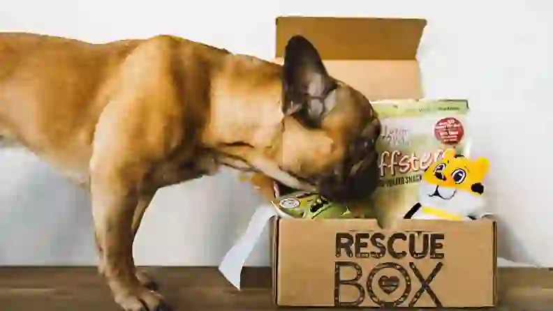 17 subscription boxes that make great last-minute gifts for everyone on ...