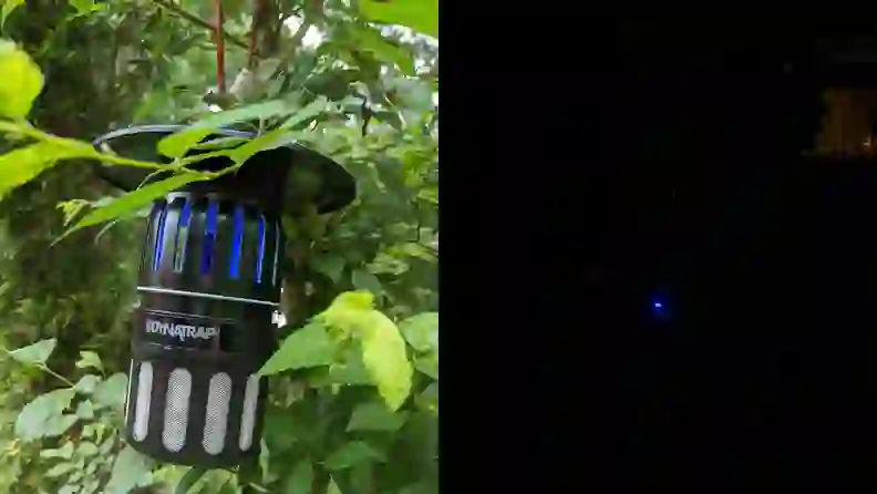 DynaTrap Insect Trap review: Bites galore - Reviewed