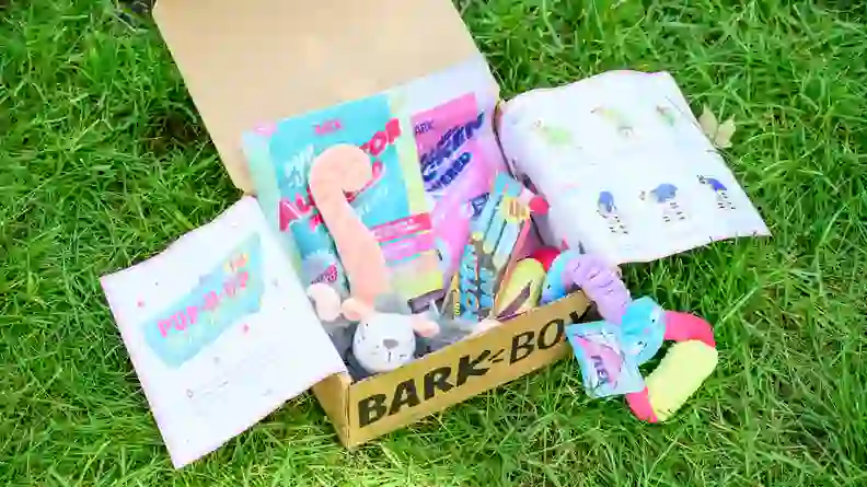 Review of BarkBox, PupBox, and RescueBox: Which dog subscription box is ...