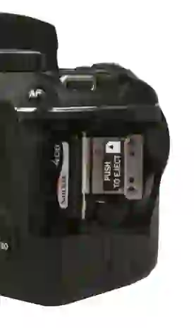Nikon D3000 Digital Camera Review - Reviewed