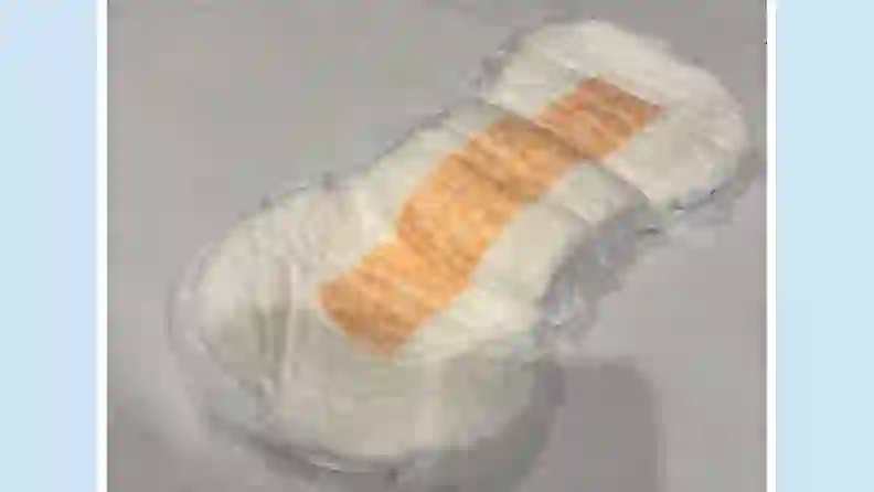 7 Best Incontinence Pads for Men and Women of 2026 - Reviewed