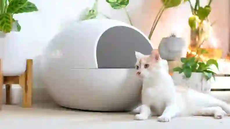 10 automatic litter boxes that you and your cat will love - Reviewed