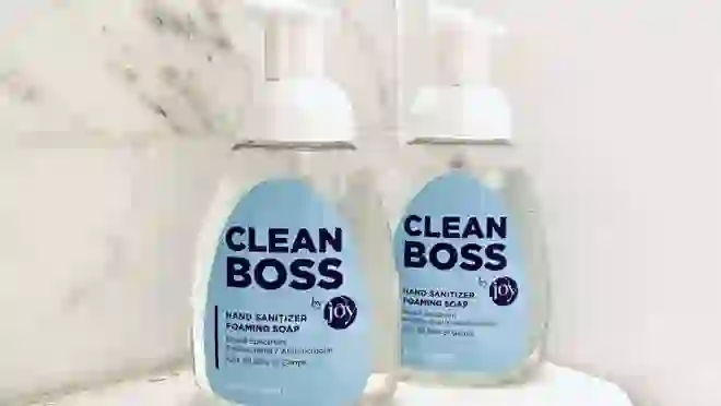 Joy Mangano products: Shop her CleanBoss line at HSN - Reviewed