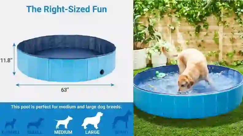 7 dog swimming pools to keep your pup cool this summer - Reviewed