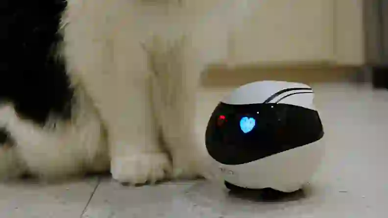 Enabot EBO Air Review: Is the smart cat toy worth it? - Reviewed