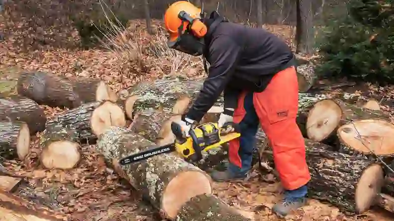 6 Best Chainsaws of 2026 - Reviewed