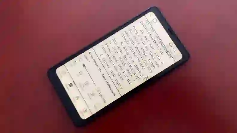 Onyx Boox Palma e-reader review: a bite size Kindle alternative - Reviewed