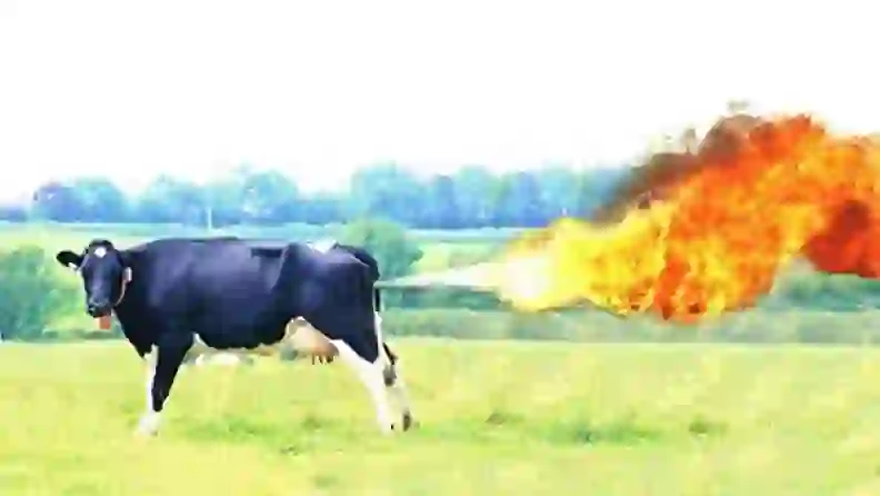 Slaughter-Free Dairies: Killing Us With Kindness? - Reviewed