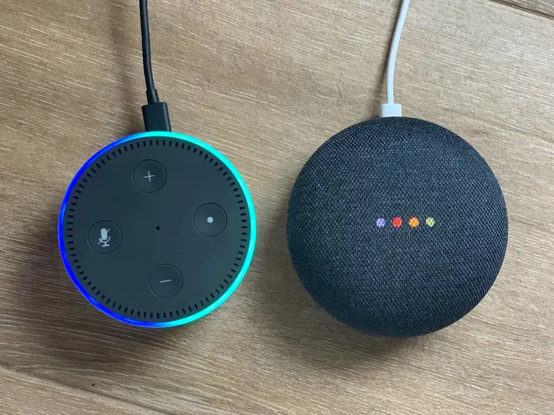 Amazon Echo Dot and Google Mini