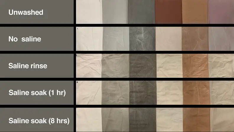 A series of labeled stain strips