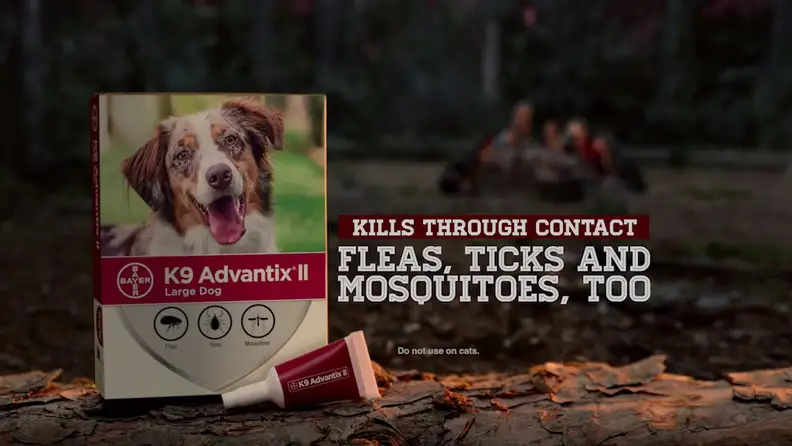 Puppy with K9 Advantix medication