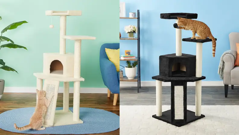 A cat scratches a cream colored cat tree