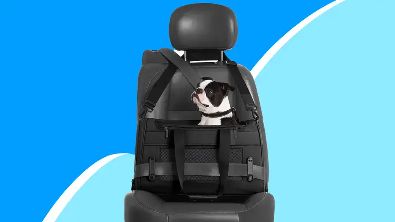 Black and white dog inside of black pet carrier while strapped into leather car seat.