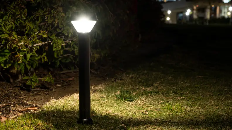 Ring Solar Path Lights in a yard at night