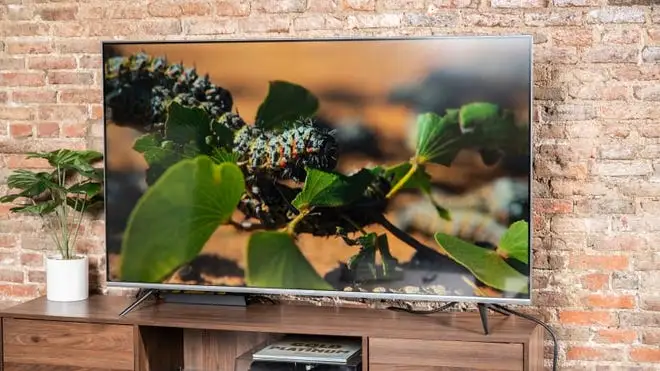 A Fire TV Omni displaying a caterpillar on a leaf in front of a brick background.